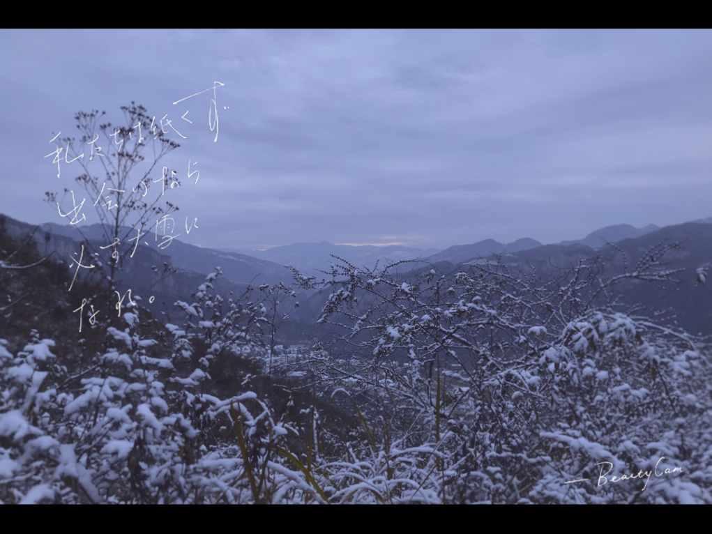 卡通考拉救援